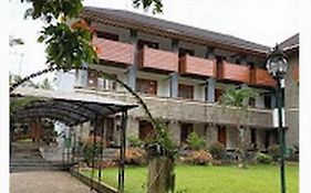 Gerbera hotel
